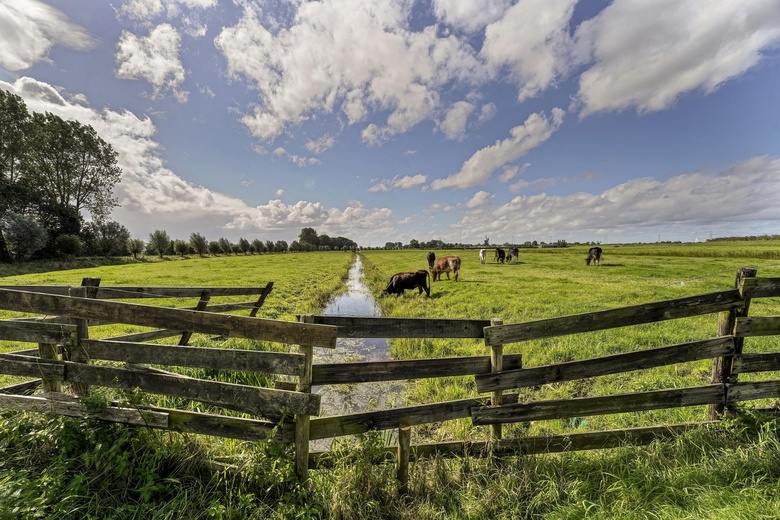 Bedrijfsruimte Woubrugge - Ofwegen 0 ong - Foto 27
