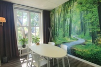 Bekijk foto 5 van Hofstraat 8