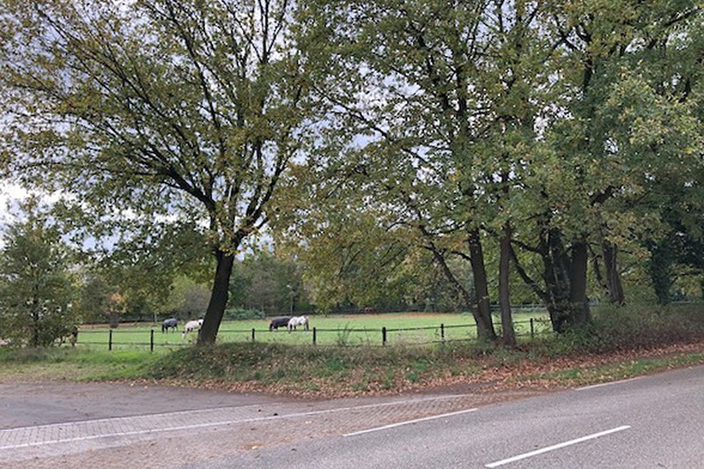 KavelaanHerungerberg 312<br/> inVenlo