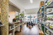 Bekijk foto 5 van Pleinweg 240