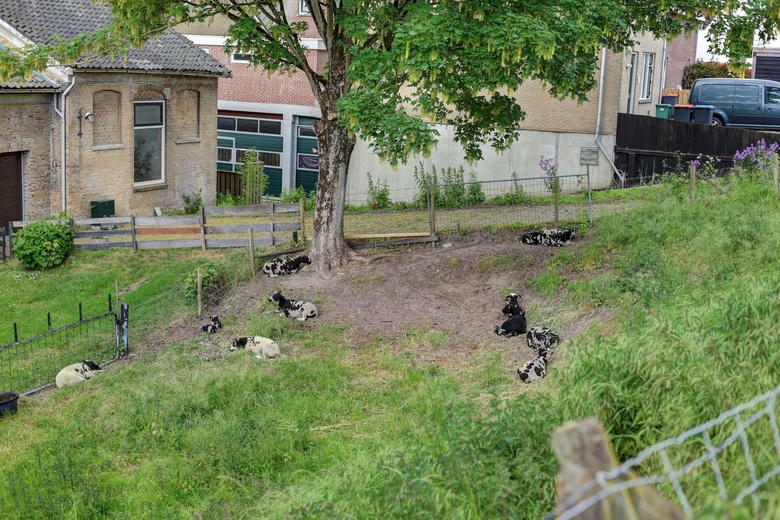 BedrijfsruimteaanHenry Fordstraat 7<br/> inZwartewaal
