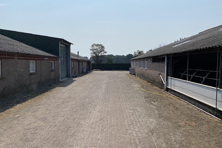 Bedrijfsruimte Schaijk - Duifhuisstraat 3 - Foto 9