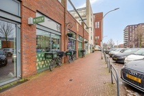 Bekijk foto 6 van Speenkruid 2