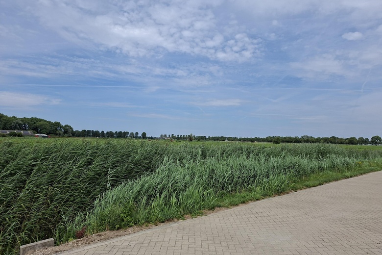 Bedrijfsruimte Well - Slijkwellsestraat 20 d 3 - Foto 29