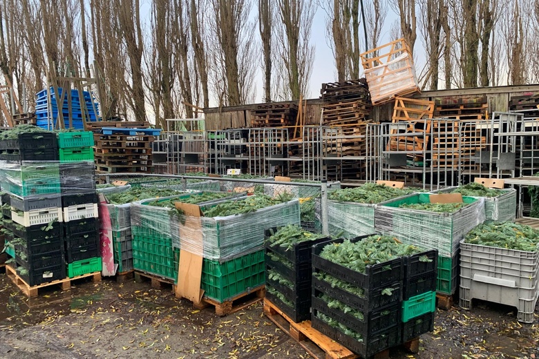 Bedrijfsruimte Valkenburg - Voorschoterweg 12 - Foto 19