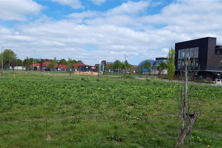 Bedrijfsruimte Leusden - De Kassen 7 - Foto 11