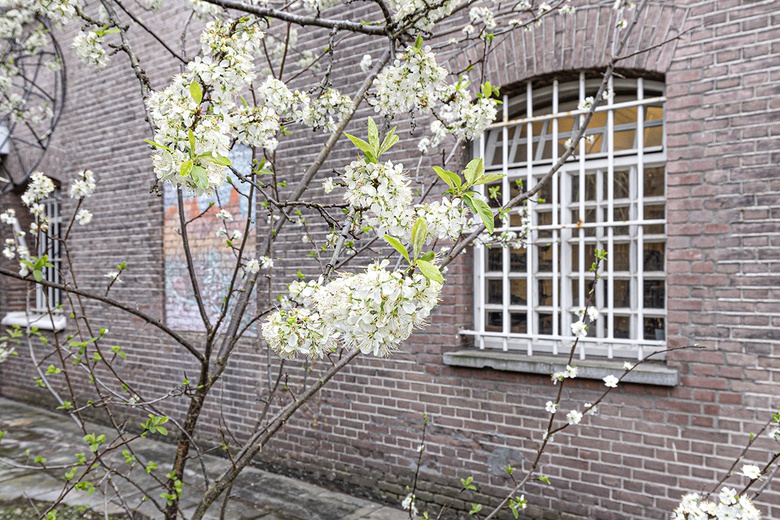 KantoorruimteaanGansstraat 164 - 170<br/> inUtrecht