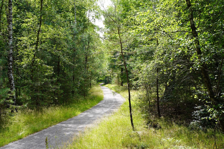 HorecaaanGortelseweg 2<br/> inVierhouten