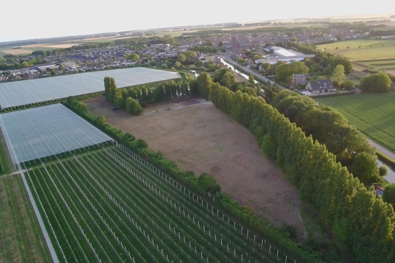 Kavel Dinteloord - Galgendijk 2 - Foto 10