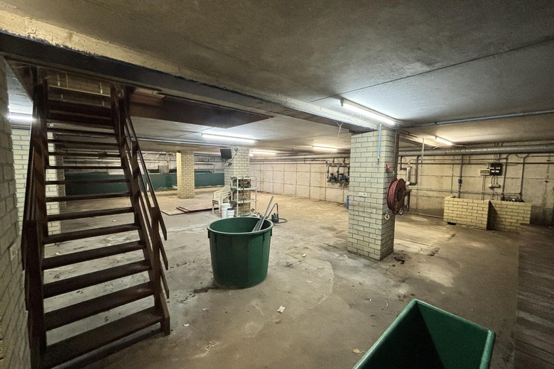Bedrijfsruimte Beek en Donk - Prins Hendrikstraat 10 a - Foto 4