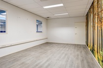 Bekijk foto 4 van Platinalaan 3